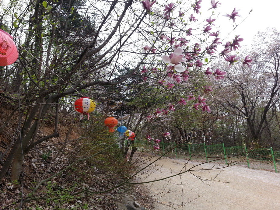 입구.jpg