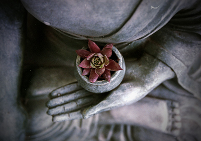 buddha.png