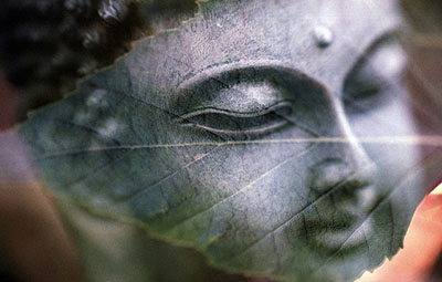 buddha-1279570_640.jpg